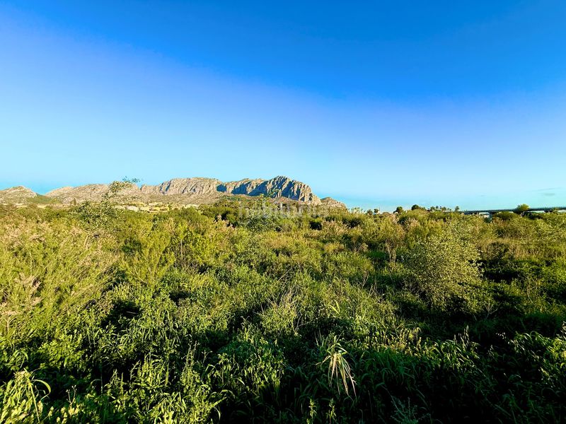 Foto 4bd5e961-03d8-433f-b44d-e51c9f2deb21. Finca rústica en Beniarbeig