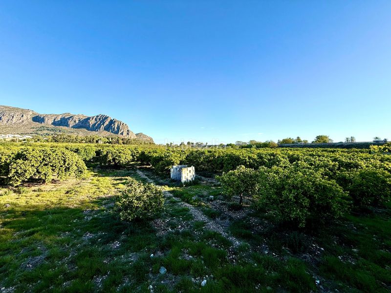 Foto 5a726feb-ff57-4696-8f98-d65ab40a0230. Finca rústica en Beniarbeig