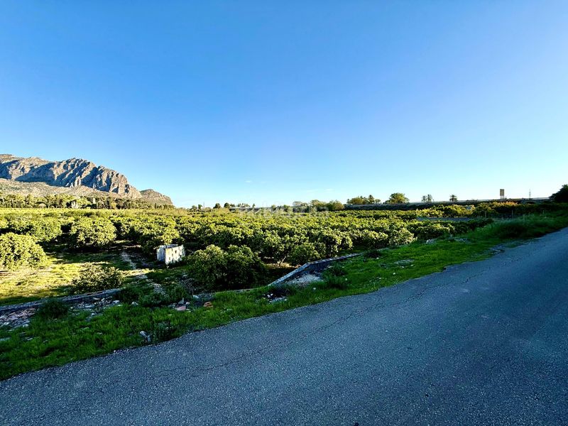 Foto 762060c2-25eb-4287-84bc-429714d88050. Finca rústica en Beniarbeig