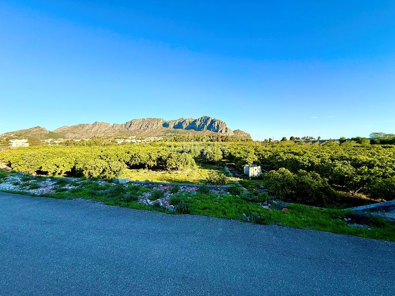 Foto 76e8b588-755d-4c5c-ad1e-78bba0dcbbf2. Finca rústica en Beniarbeig