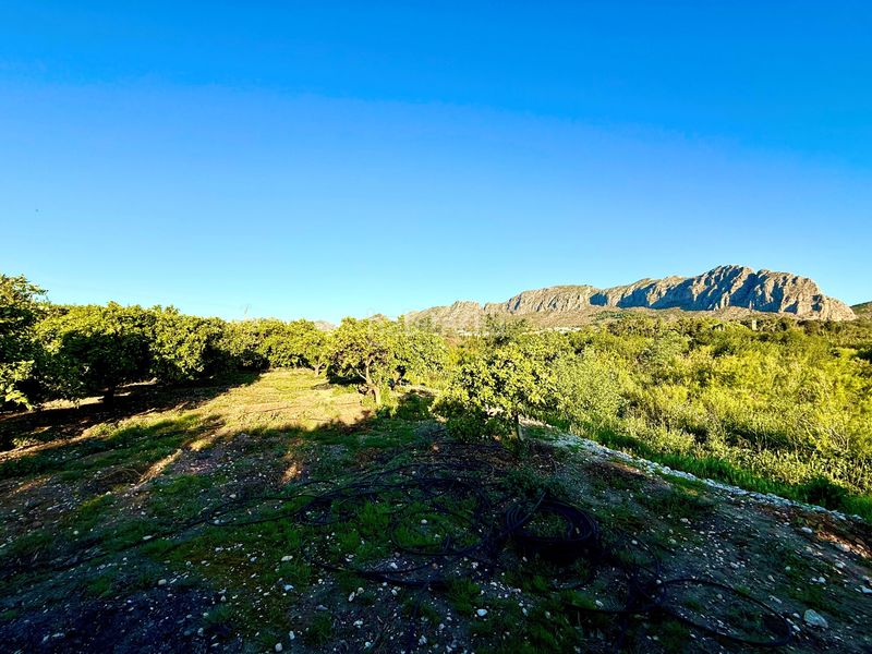 Foto 8644a0a1-d8d3-4b19-8b6b-ede5e1de1412. Finca rústica en Beniarbeig