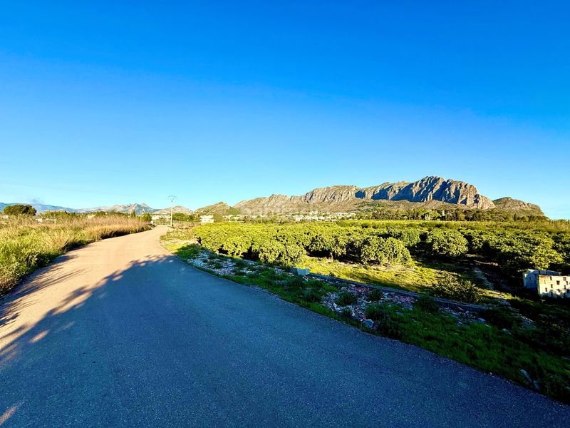 Foto 9dedcdf8-00f1-4da1-a1b7-6ab4f1d93f47. Finca rústica en Beniarbeig