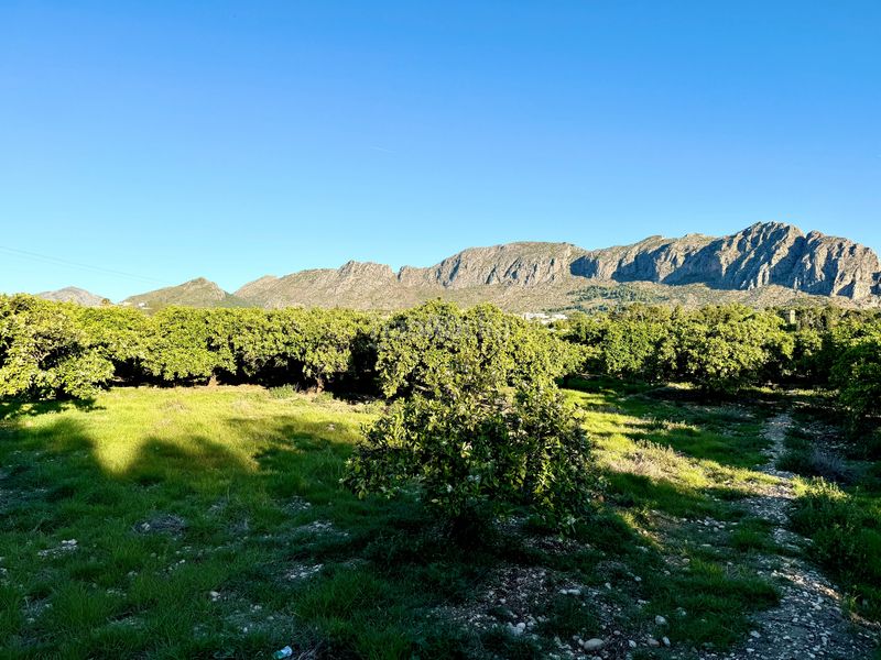 Foto a2022928-e8c2-4776-9df3-ff3d22dca944. Finca rústica en Beniarbeig