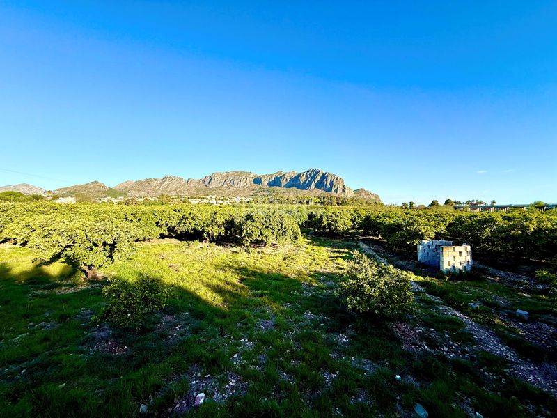 Foto aefbd588-8b4e-4f90-9b5e-ddbe99cfdb56. Finca rústica en Beniarbeig