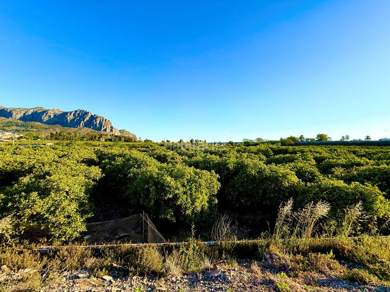 Foto bc48ea2c-1f17-485c-914f-cbbf7a77c8b1. Finca rústica en Beniarbeig