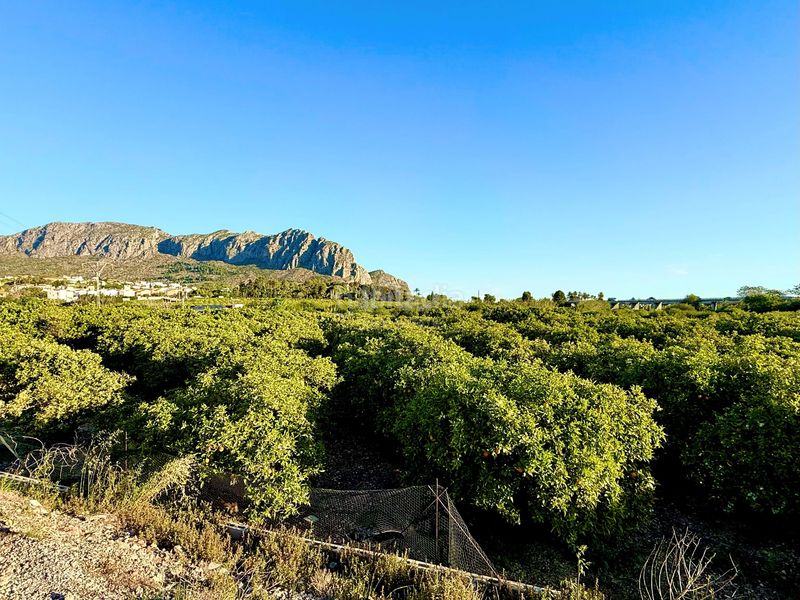 Foto cffbd84b-051c-4a30-ba79-f131b423def4. Finca rústica en Beniarbeig