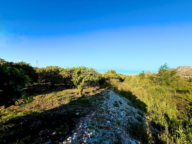 Foto d2427a94-ae0d-404f-9b4a-e2f10d719daf. Finca rústica en Beniarbeig