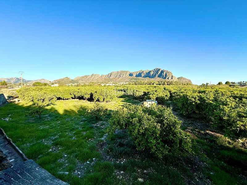 Foto dbe7a198-79e9-42ca-bab0-7210c9169856. Finca rústica en Beniarbeig