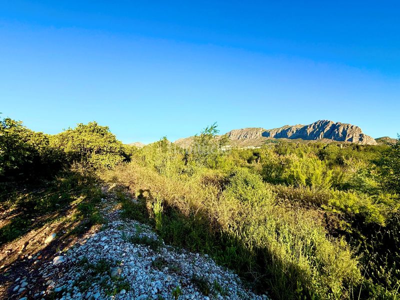 Foto e6cf4a83-4fd9-447c-b23c-56c70b0c9904. Finca rústica en Beniarbeig