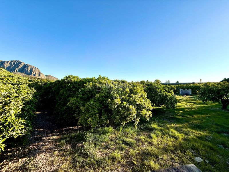 Foto e944005e-a55b-44f6-b4a1-df5a4796657d. Finca rústica en Beniarbeig