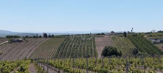 Terreno residenziale in Lebrija