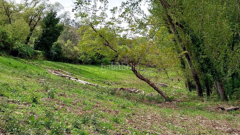 Foto 06799760-9545-4d50-b009-fc18cc6c9fe0. Finca rústica a Galaroza