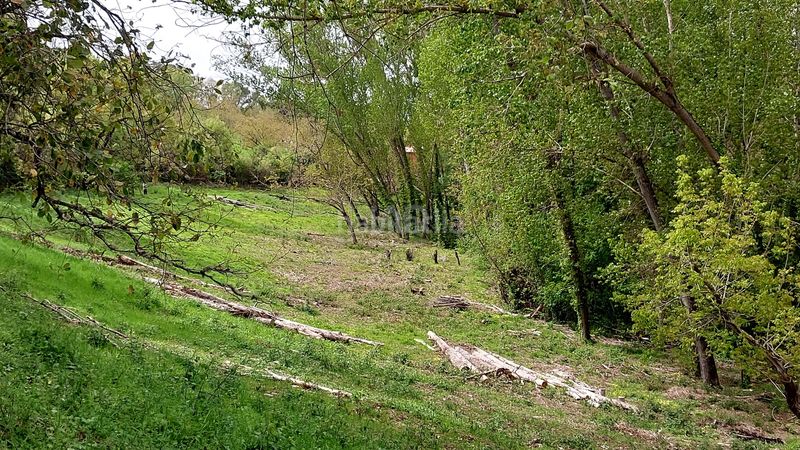 Foto 205659cf-3a92-4c95-a2fb-5ebd7d9365ff. Finca rústica a Galaroza