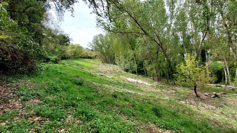 Foto 4cb66ef5-4074-42a3-88fc-8501bb8aef9b. Finca rústica a Galaroza