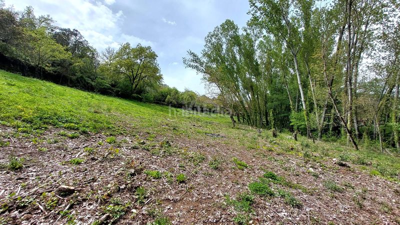 Foto 5b42dfca-816b-404e-a7ea-7a83f7c3aa38. Finca rústica a Galaroza