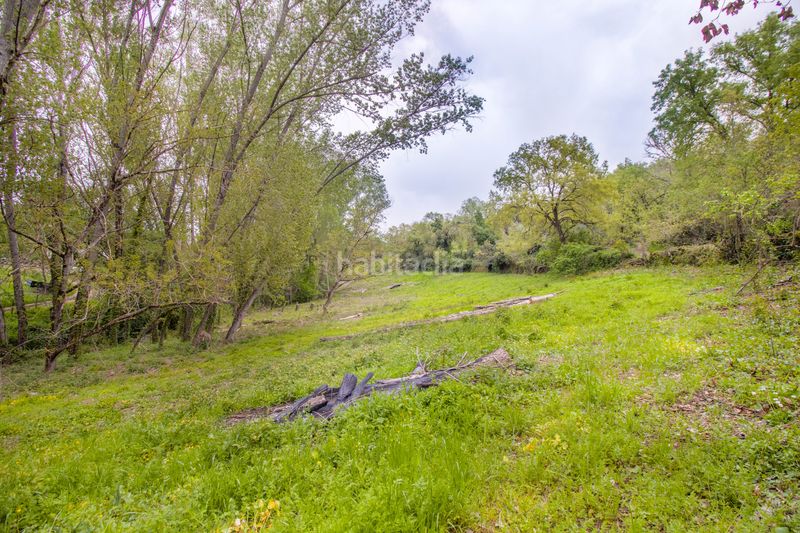 Foto 87cdd00f-9860-49fd-ae5a-ddc69c3f82ff. Finca rústica a Galaroza