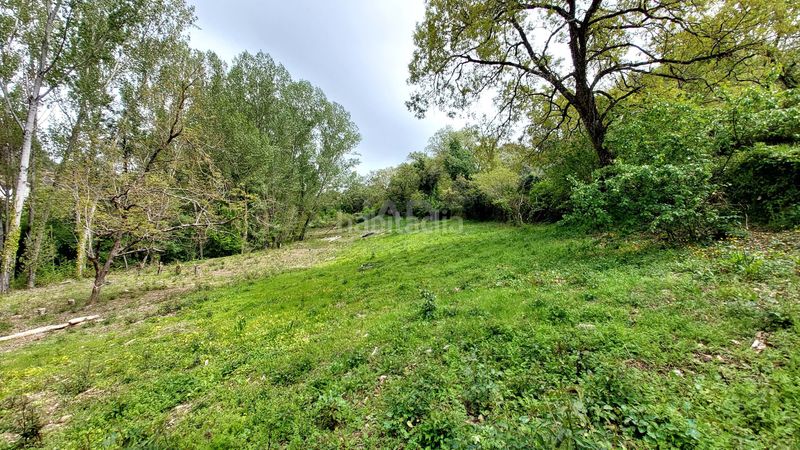 Foto aa4598c9-1c1a-41d7-b7eb-2c08d8de87ca. Finca rústica a Galaroza