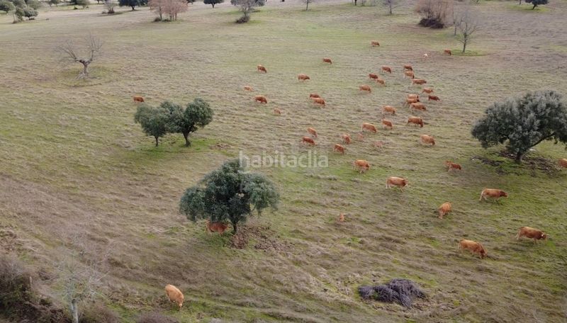 Foto c5abbd1b-52eb-4f26-ad49-1fbbeb8565bc. Finca rústica en Manzano (El)