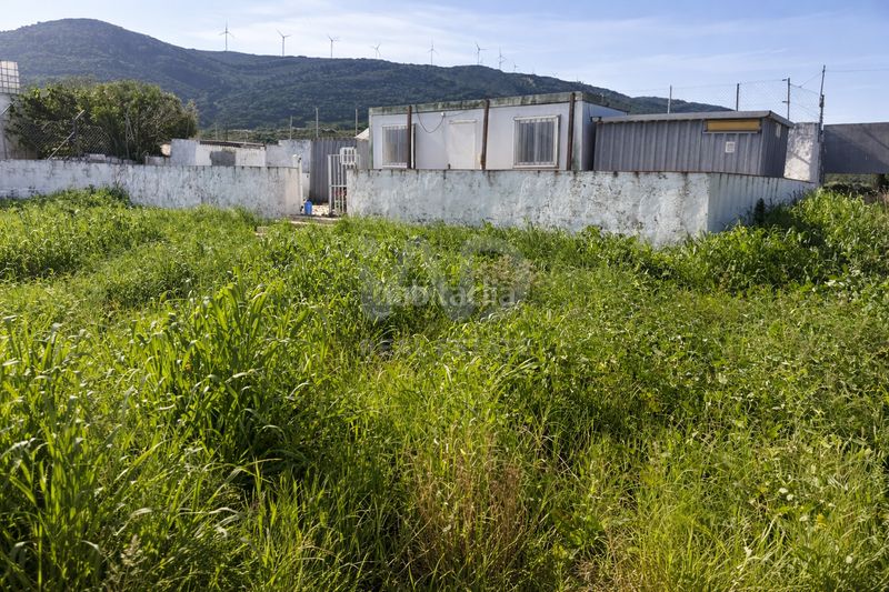 Foto 27a58104-85d0-4aea-8988-6d241c1b504b. Finca rústica a Tarifa ciudad Tarifa