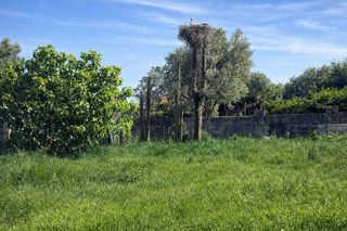 Finca rústica a Tarifa Ciudad