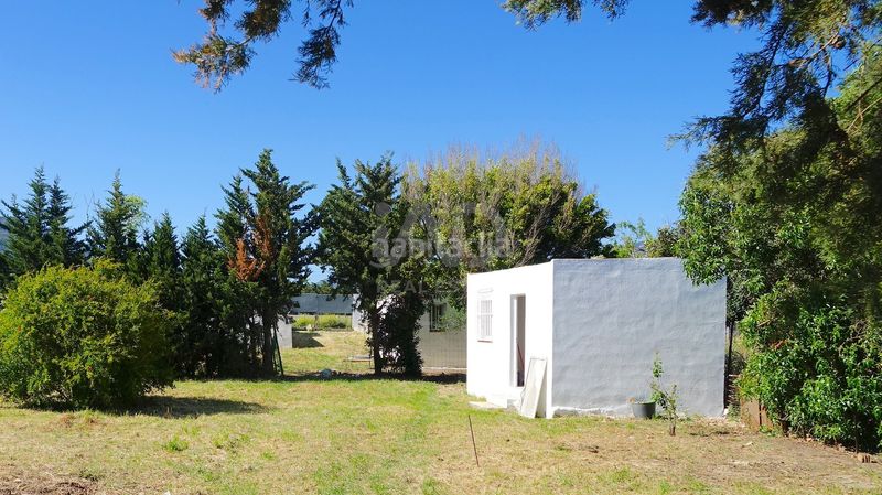 Foto a77c49a2-b2a6-4853-bd32-ae7e966f082c. Finca rústica a Tarifa ciudad Tarifa