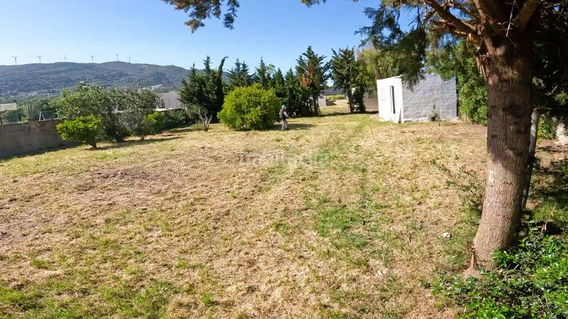 Foto 0bef9c25-133c-4b09-a1a3-6c3f389e96dc. Finca rústica en Tarifa ciudad Tarifa