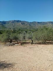 Fondo rustico in Vandellòs i l´Hospitalet de l´Infant