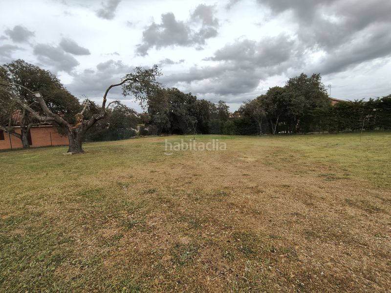 Foto 18a880f5-e3e0-40c8-ac5c-4f24e4d9ffa0. Terreny residencial a Carrascal de Barregas
