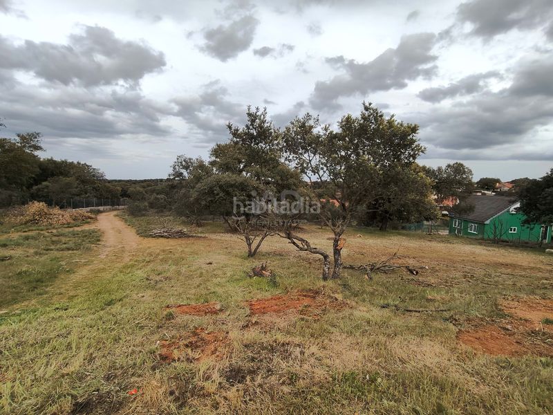 Foto 348bb5b8-c8fa-4c58-b25c-057745aa995e. Terreny residencial a Carrascal de Barregas