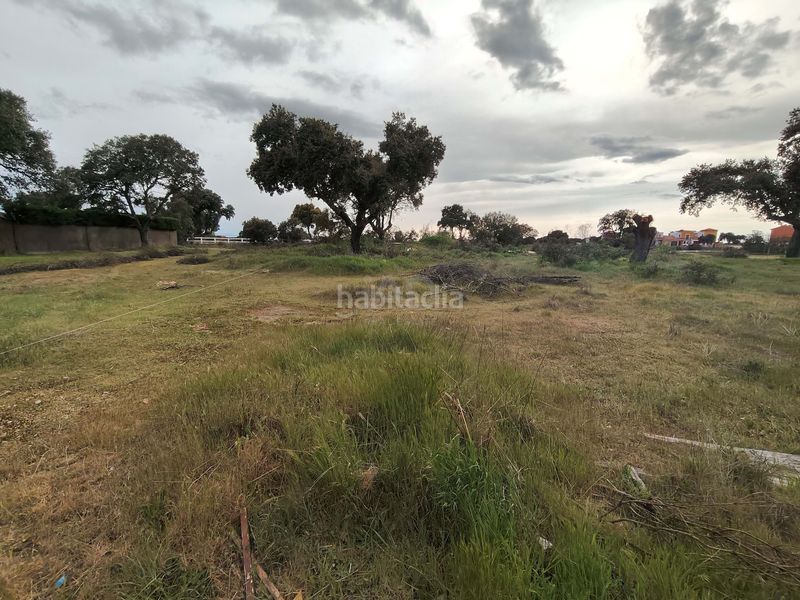 Foto a165d84a-d133-46f1-bed9-00b9b23891b6. Terreny residencial a Carrascal de Barregas