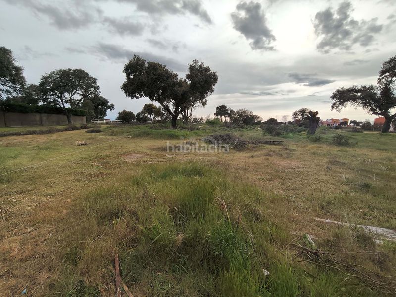 Foto d5d28618-4bac-47d2-98a4-8197a159c2b4. Terreny residencial a Carrascal de Barregas
