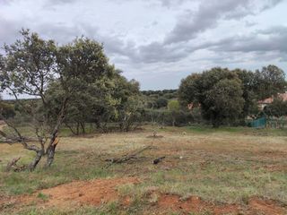 Residential Plot in Carrascal de Barregas