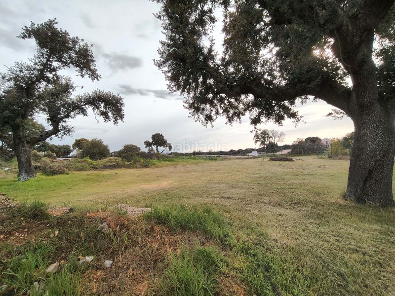 Foto cf64c6e2-319e-46d8-90b4-dc9feb26fbe6. Terreny residencial a Carrascal de Barregas