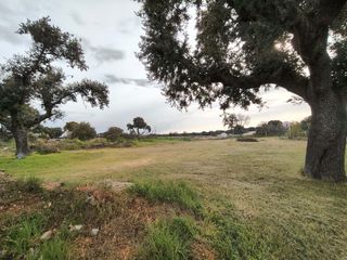 Residential Plot in Carrascal de Barregas