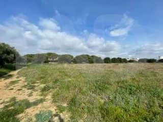 Residential Plot in Tarraco
