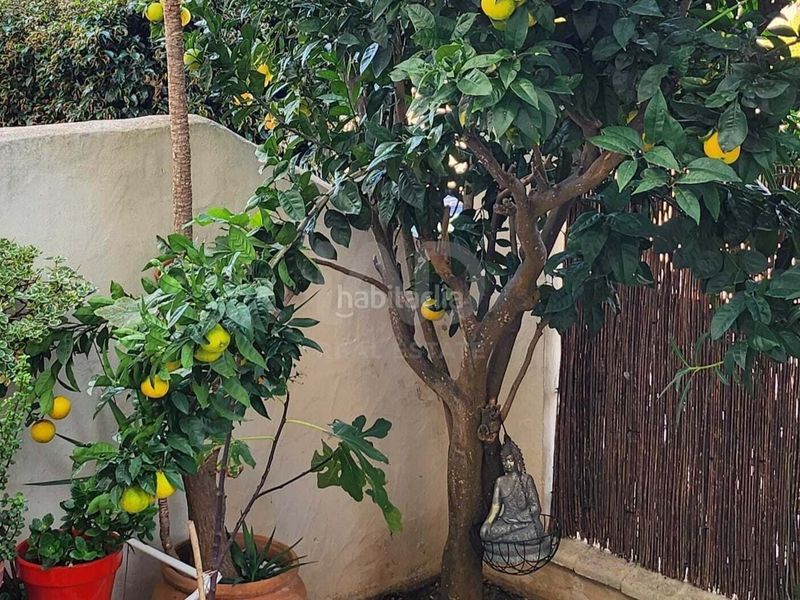 Foto d0aa44a1-31c7-4f80-b39d-a4bdaaf06a73. Casa aparellada amb aparcament a Tarifa ciudad Tarifa