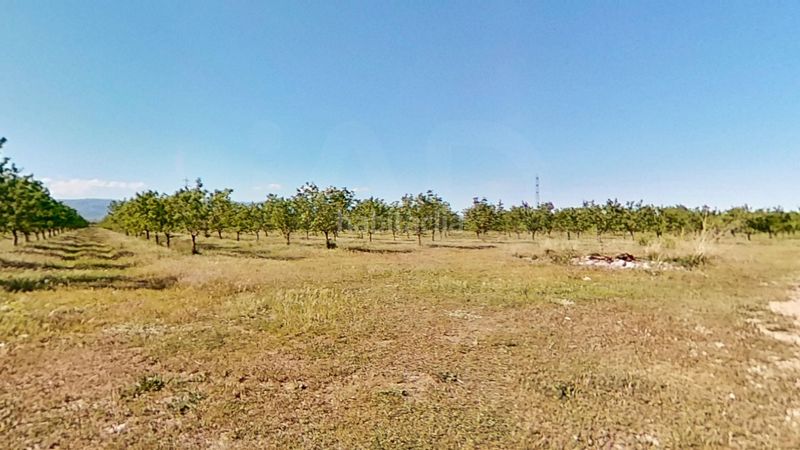 Foto 4a590229-3d1a-4340-9d24-dfb0600e4fd9. Finca rústica a Ulldecona