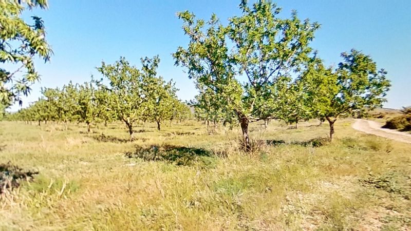 Foto 736b1ae1-e3fe-4f21-b4f3-dcb5ab9a98ff. Finca rústica a Ulldecona