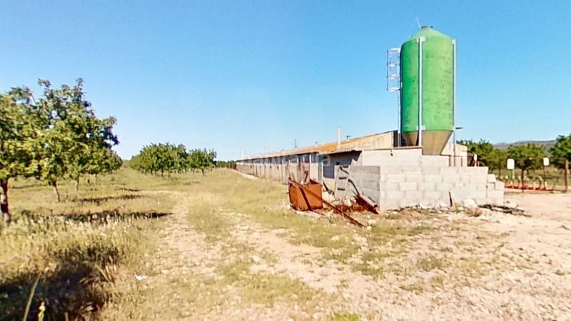 Foto 9ff93df1-2823-4564-a83d-4da669e11914. Finca rústica a Ulldecona