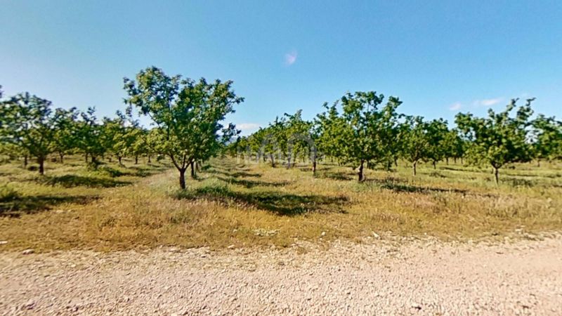 Foto aa1c318e-715b-49f5-bce9-eac5124103da. Finca rústica a Ulldecona