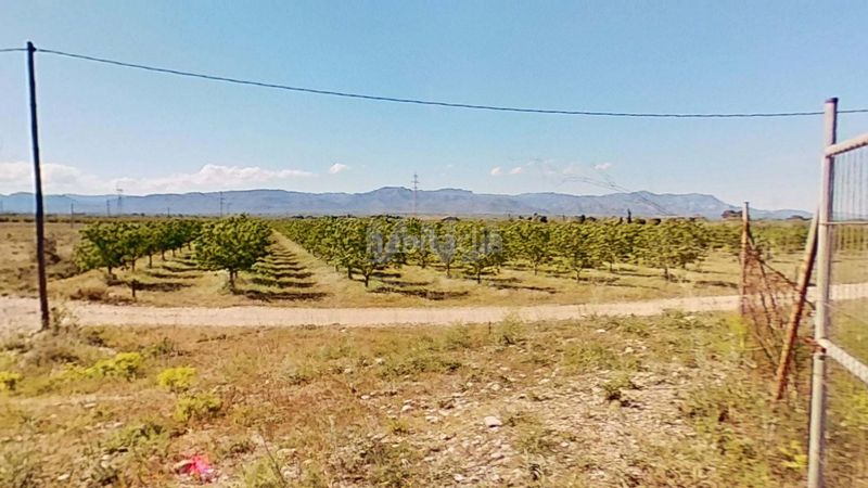 Foto b36bf195-4512-471a-9803-77e4a55e4bb0. Finca rústica a Ulldecona