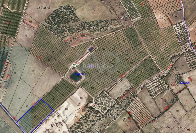 Foto e6052e2a-0f52-44fa-a0ab-891697e069ed. Finca rústica a Ulldecona