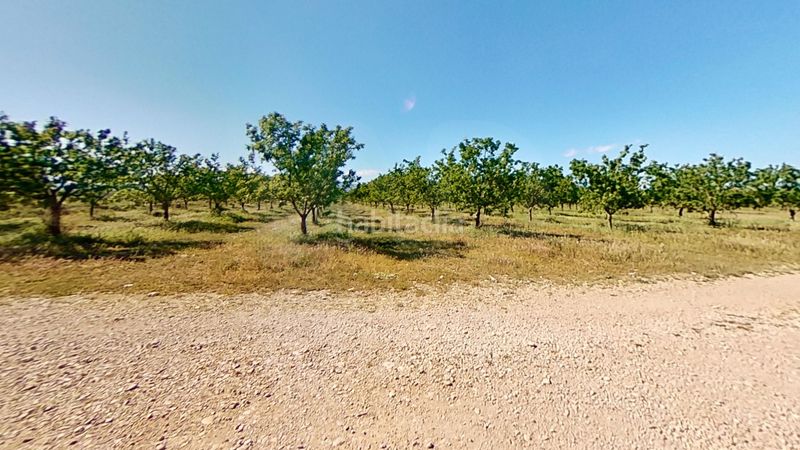 Foto ed7911f8-1d2a-4b01-a389-9648cdc1e393. Finca rústica a Ulldecona