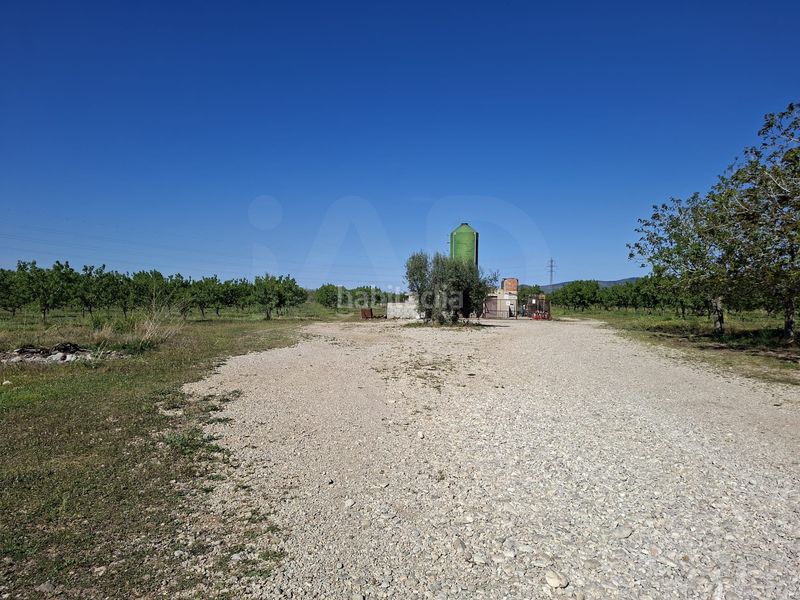 Foto f94d6715-1c4c-4312-a4f0-0eebeb19a859. Finca rústica a Ulldecona