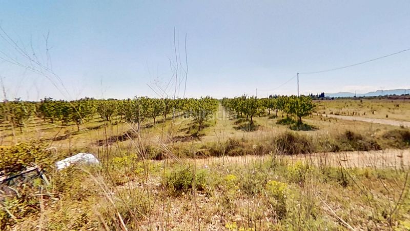 Foto fd3b2514-52fd-4249-a50d-e2aaaf31b417. Finca rústica a Ulldecona