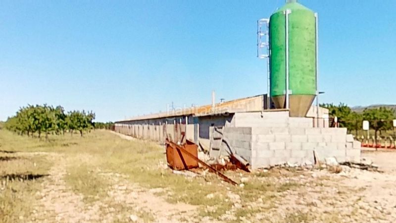 Foto ff2a8c15-1ed0-4451-b91a-7537ba20d080. Finca rústica a Ulldecona
