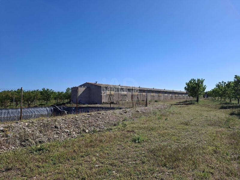 Foto deb8a2e3-9447-4ac7-b321-a7102c66ca8f. Finca rústica en Ulldecona