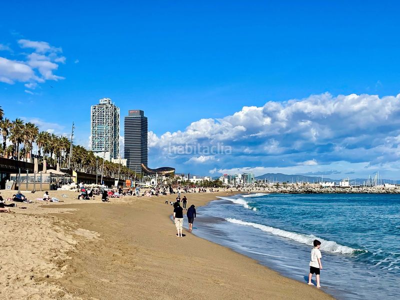 Foto 0b5a1c00-59c1-4503-8858-74d9304ca1d5. Pis a Barceloneta Barcelona