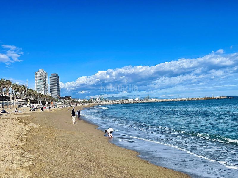 Foto 42220a27-adc5-4082-ae01-f8d272e4264e. Pis a Barceloneta Barcelona