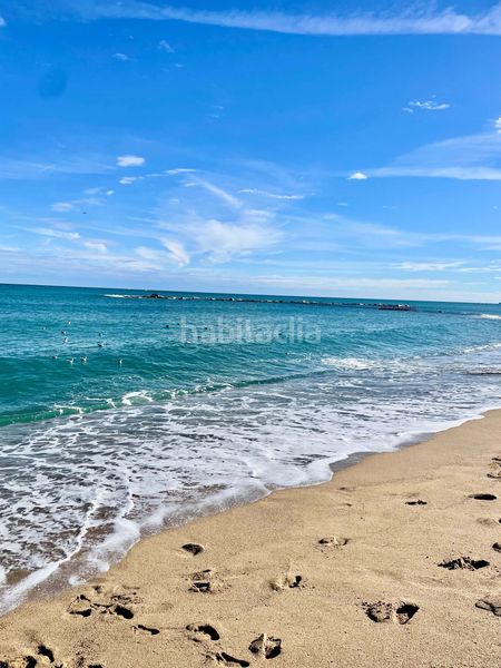 Foto b7c3c450-ce19-462b-a5f9-a78cb2271d9b. Pis a Barceloneta Barcelona